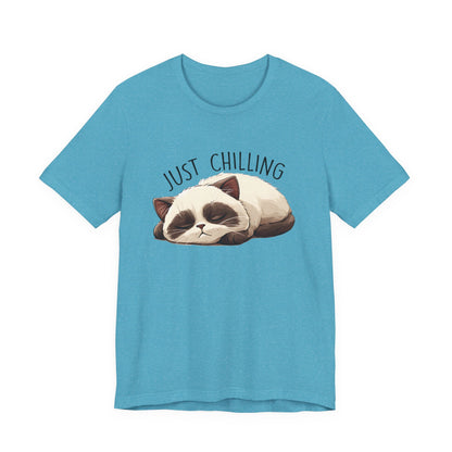 Just Chilling, Lazy Cat Shirt, Cute Cat Shirt, Cat Lover Gift, Funny Cat Shirt - PopCultureByDesign36