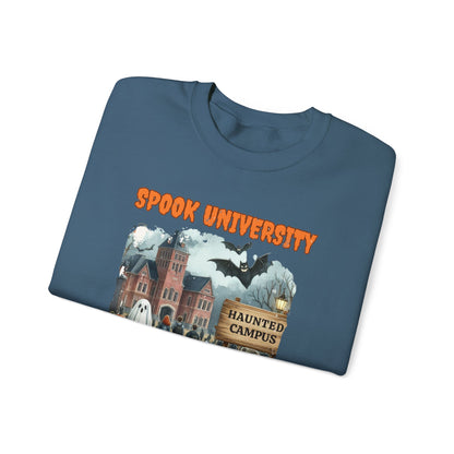 Spook University Sweatshirt, Halloweentown University, Fall Sweatshirt - PopCultureByDesign36