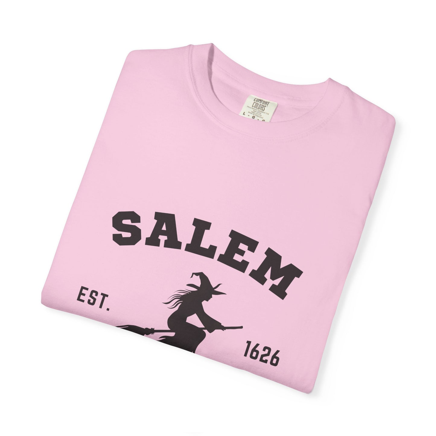 Comfort Colors® Salem Massachusetts shirt, Pooky shirt for her, Witch shirt - PopCultureByDesign36