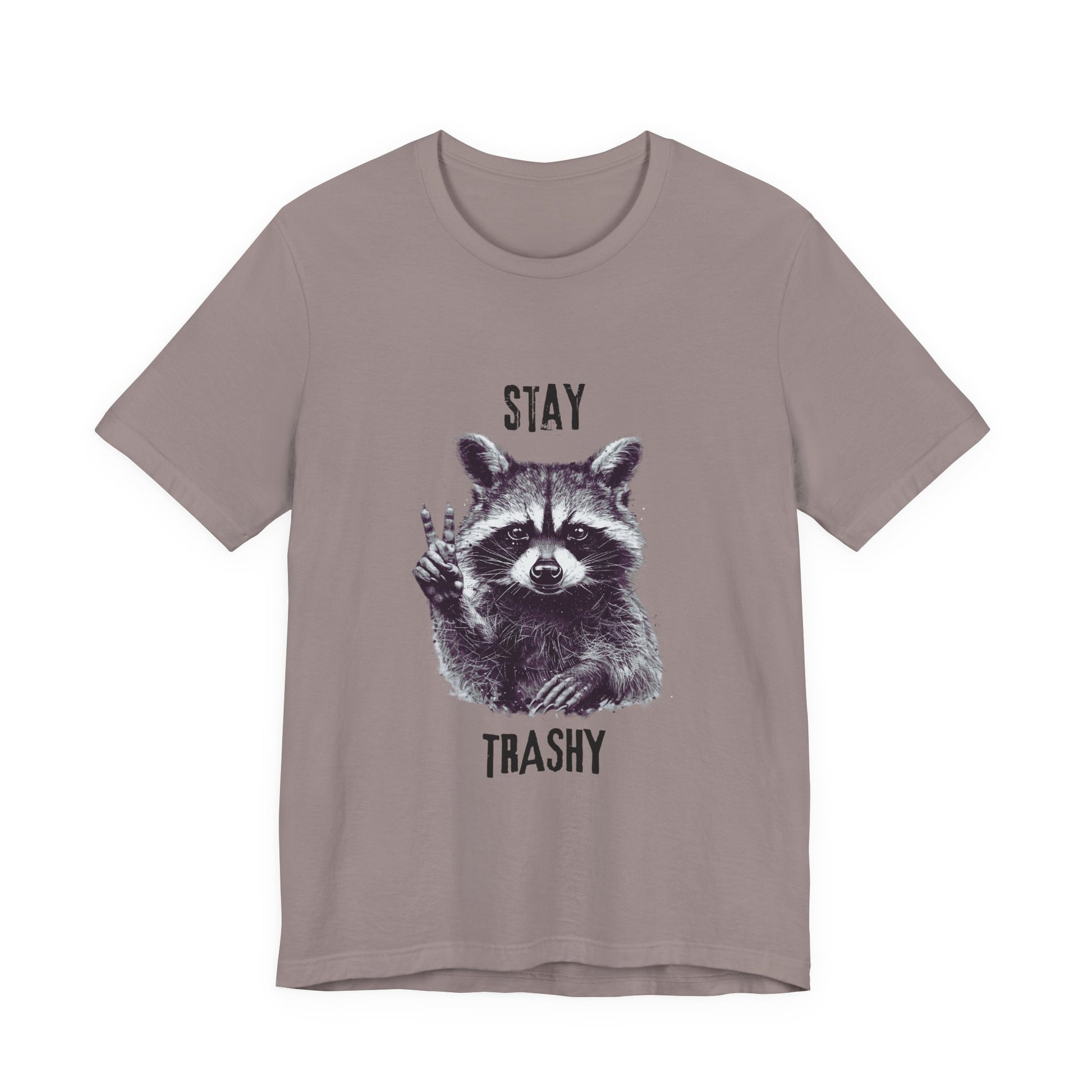 Stay Trashy Raccoon Shirt, Raccoon Shirt Funny, Cool Vintage Style Raccoon Shirt - PopCultureByDesign36