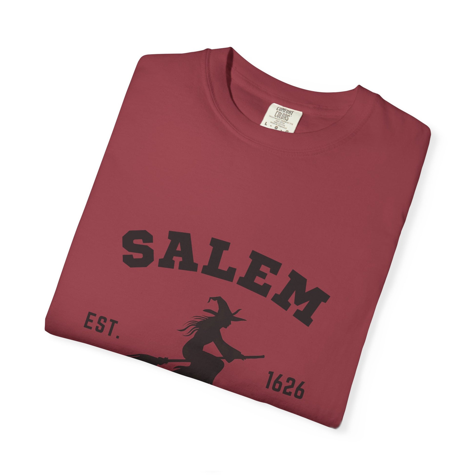 Comfort Colors® Salem Massachusetts shirt, Pooky shirt for her, Witch shirt - PopCultureByDesign36